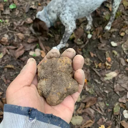 La Casa Nel Viale * Asti